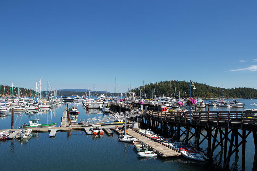 Friday Harbor Marina Photograph by Stephanie McDowell - Pixels