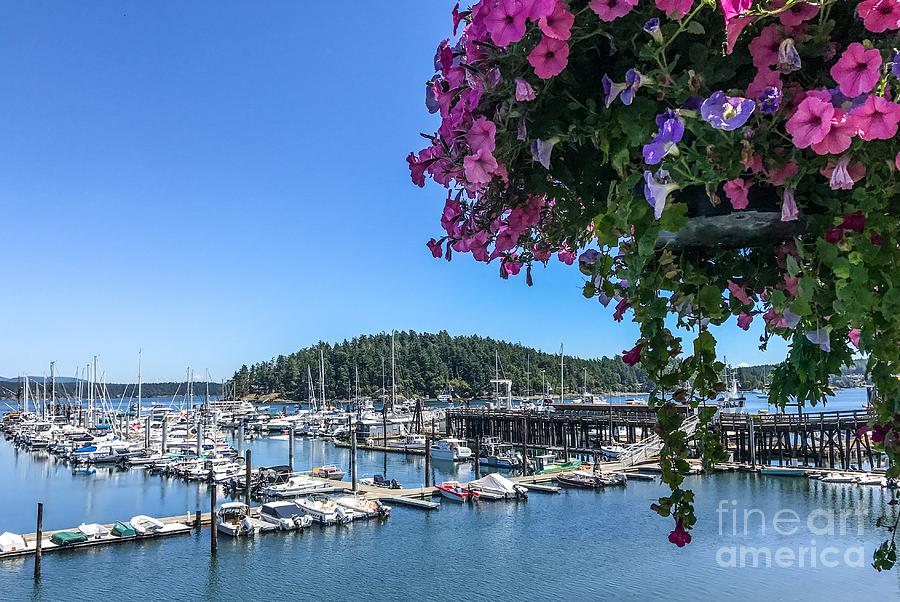 Friday Harbor Spring Photograph by William Wyckoff