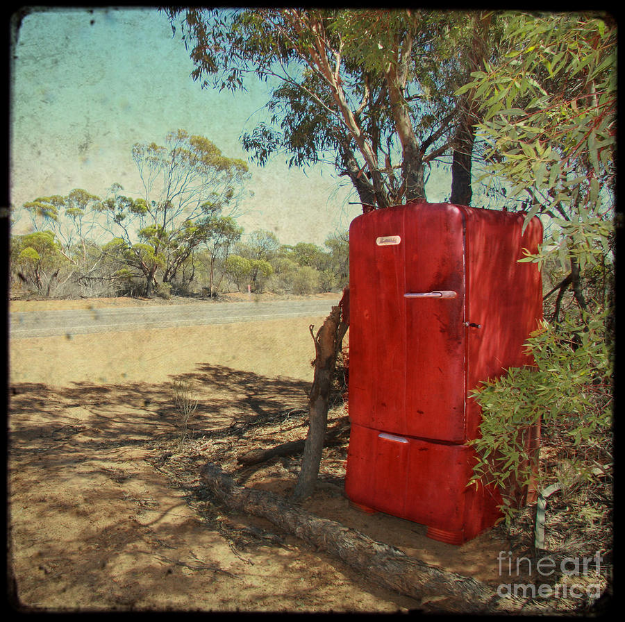 Vintage Photograph - Fridge in the Outback by Sonia Stewart