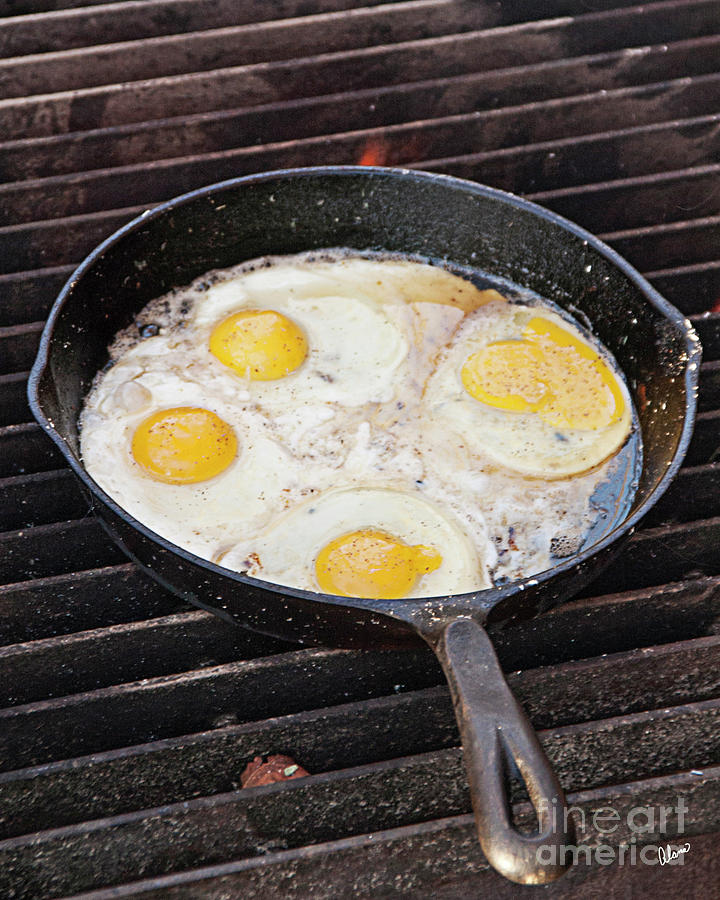 Fried Eggs Photograph by Alana Ranney