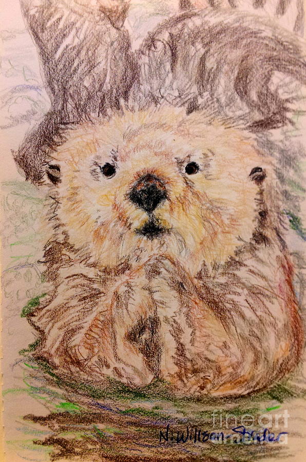 Otter Drawing - Friend Otter by N Willson-Strader