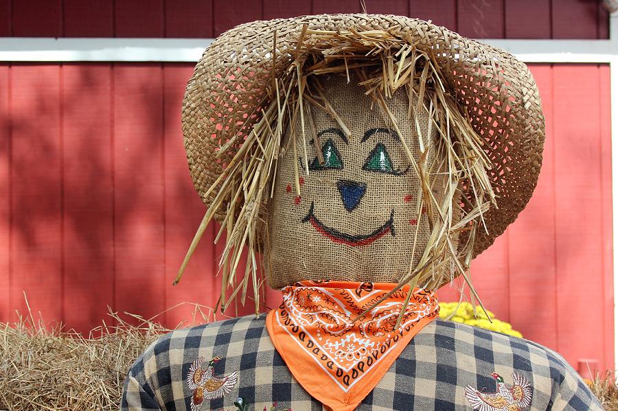 Friendly Scarecrow Photograph by Robert Wilder Jr