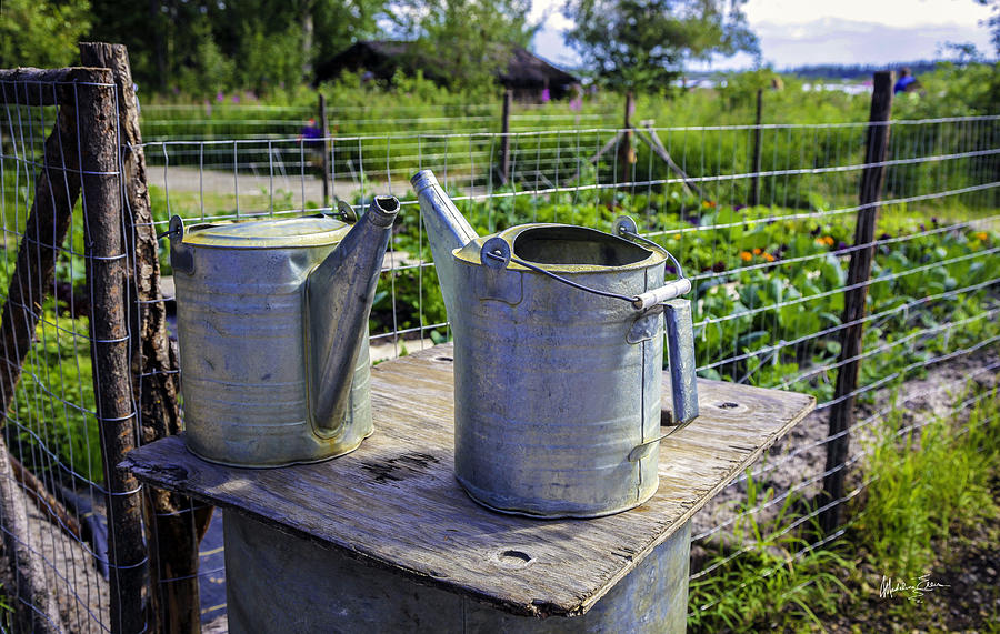 Friends - Alaska Watering Cans Photograph by Madeline Ellis