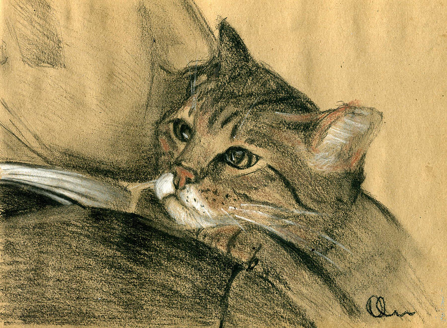 Cat Drawing - Friends by Lelia Sorokina