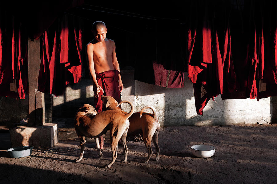 Asia Photograph - Friends by Marji Lang Asia Photograph - Friends by Marji Lang