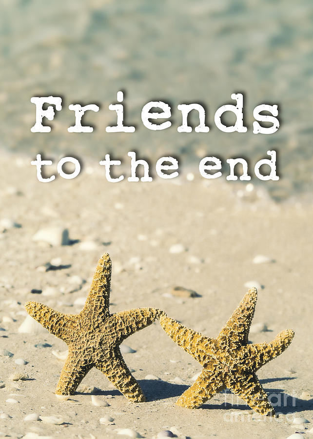 Friends to the end Photograph by Edward Fielding