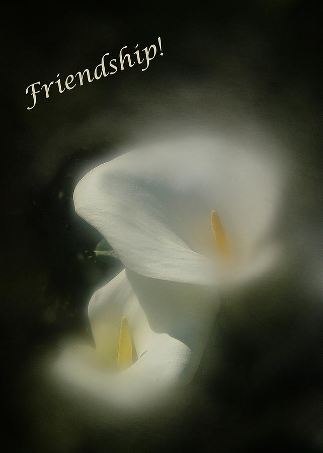 Friendship Card Photograph by Richard Cummings