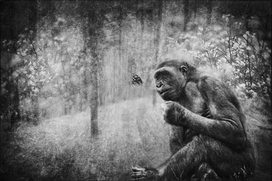 Friendship by Diane Dugas Friendship by Diane Dugas