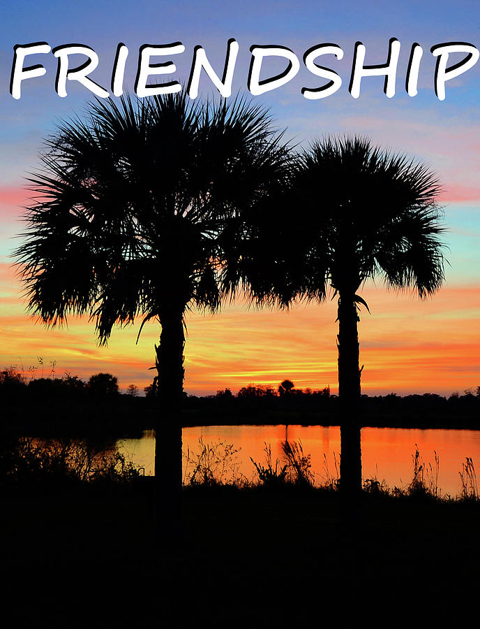 Friendship inspirational work A Photograph by David Lee Thompson