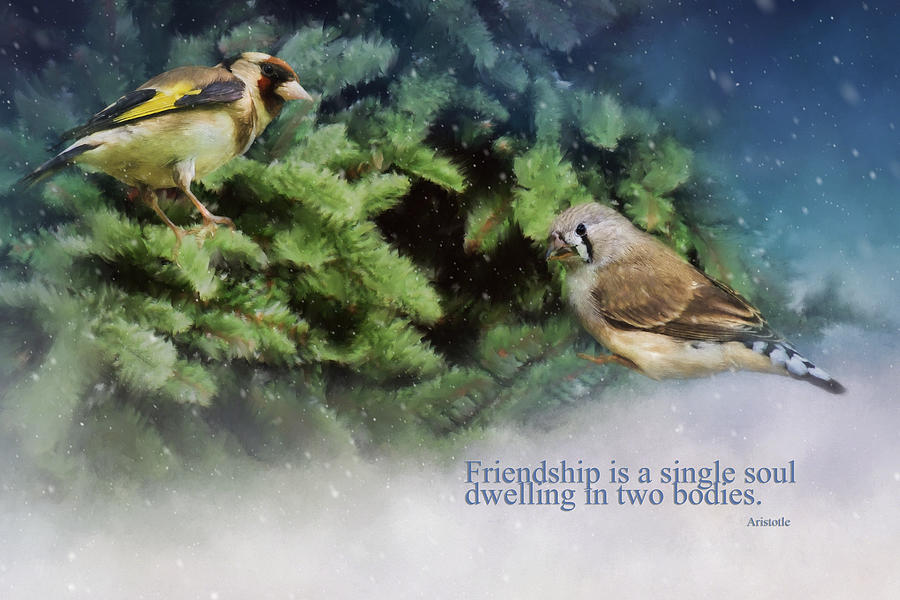 Christmas Painting - Friendship Is - Bird Art by Jordan Blackstone