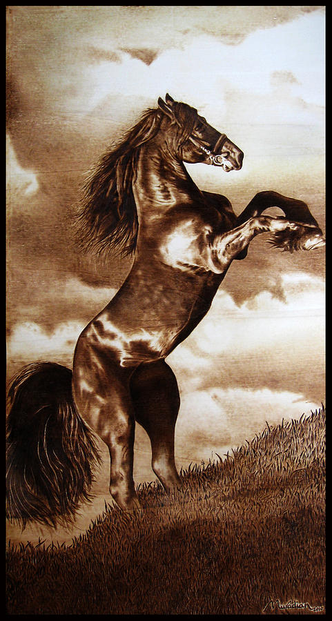 Horse Pyrography - Friesian by Dino Muradian