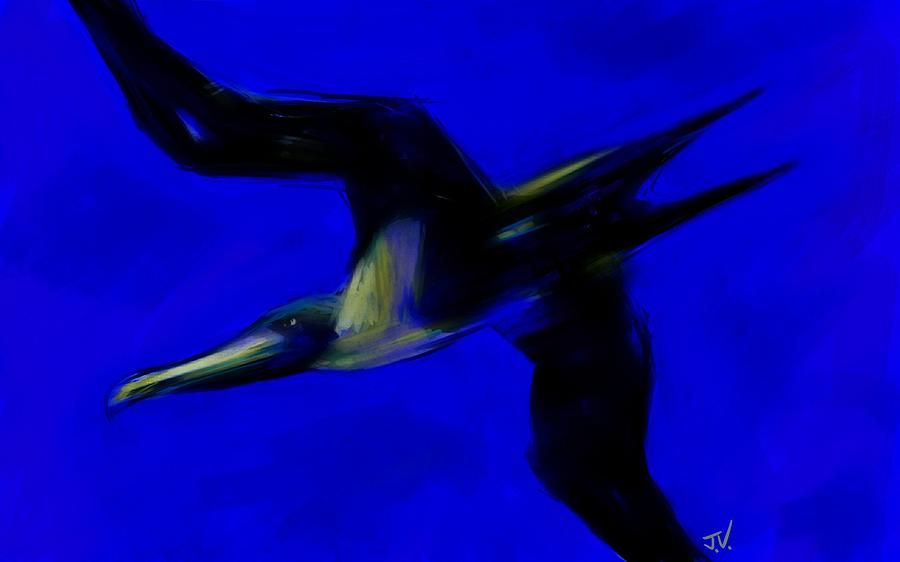 Frigate Bird Photograph by Jim Vance