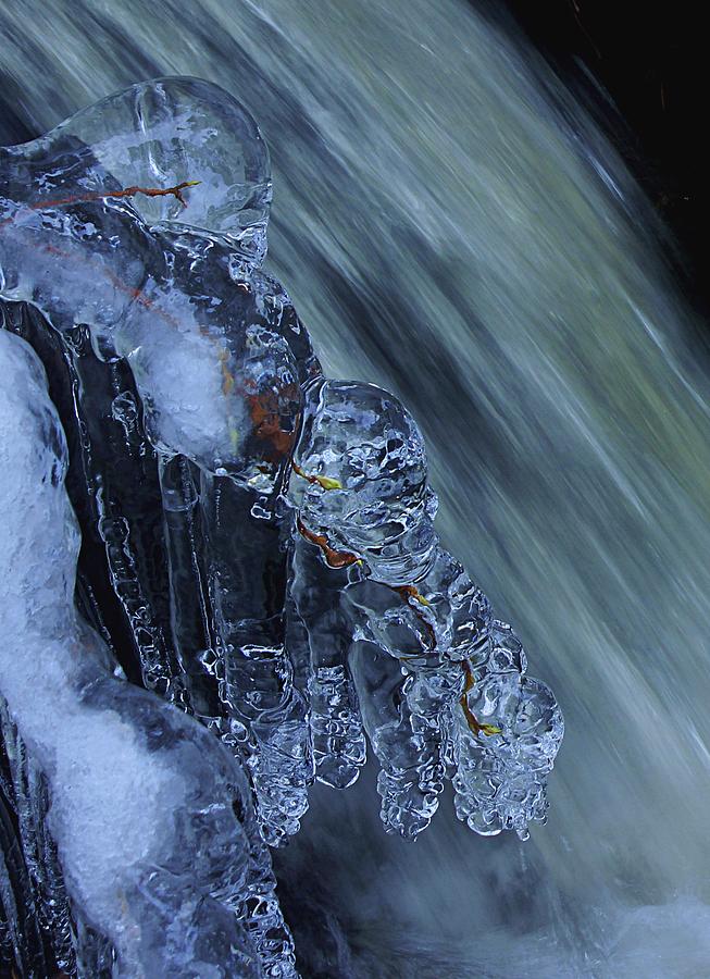 Frigid Beauty Its All in The Details Photograph by Sean Sarsfield