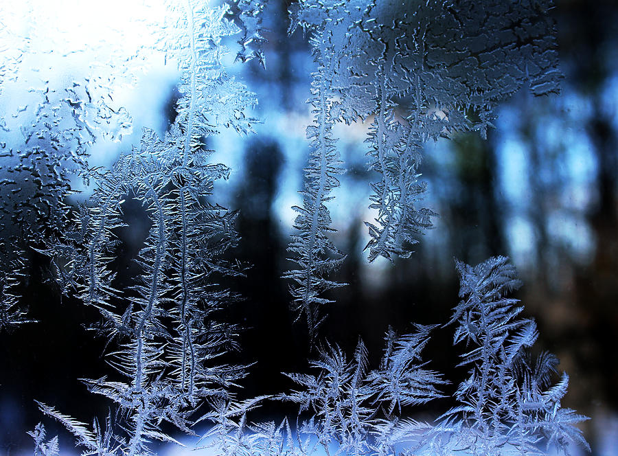 Ice Photograph - Frigid Blue Morning by Liz Allyn Ice Photograph - Frigid Blue Morning by Liz Allyn