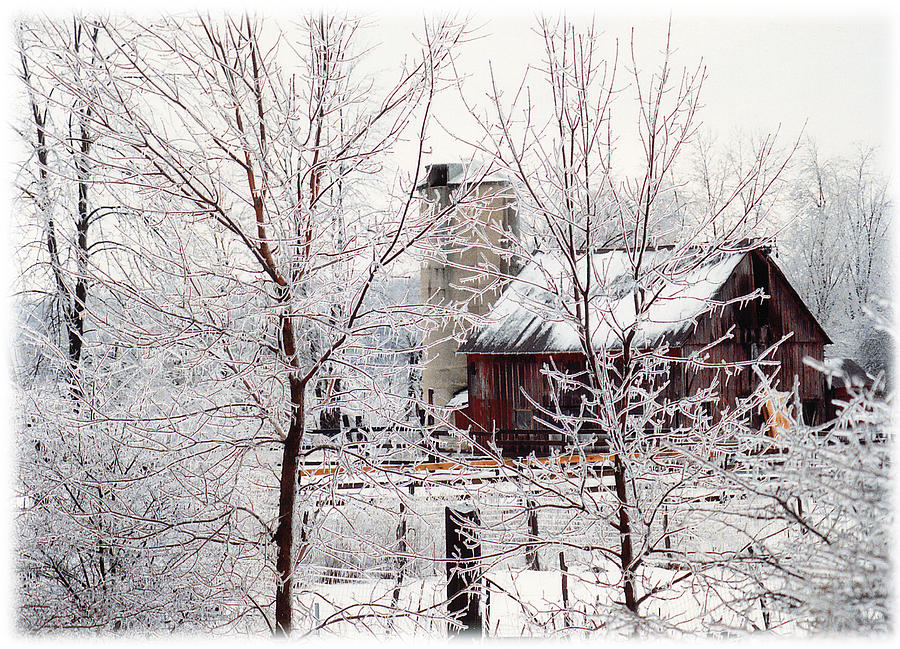 Winter Photograph - Frigid Scene by Andrew Kazmierski