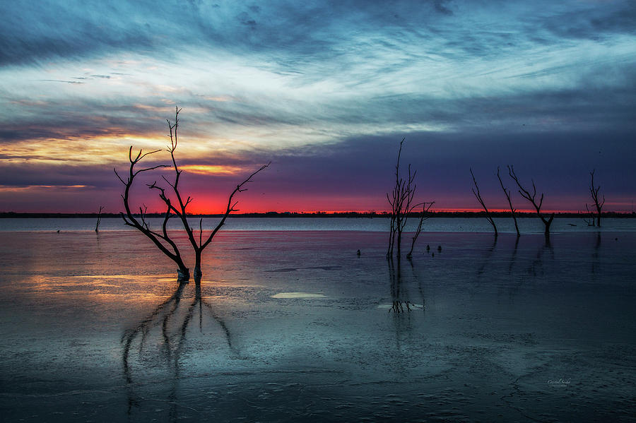 Frigid Sunrise Photograph by Crystal Socha