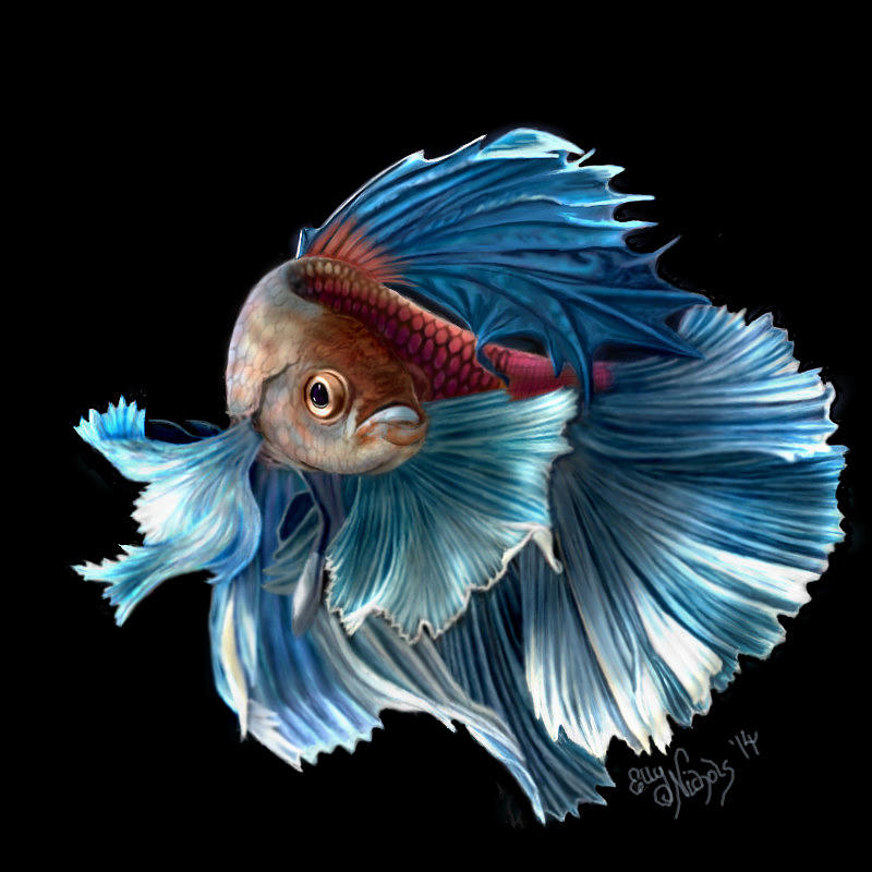 Fish Digital Art - Frilly Fishette by Ellen Dawson