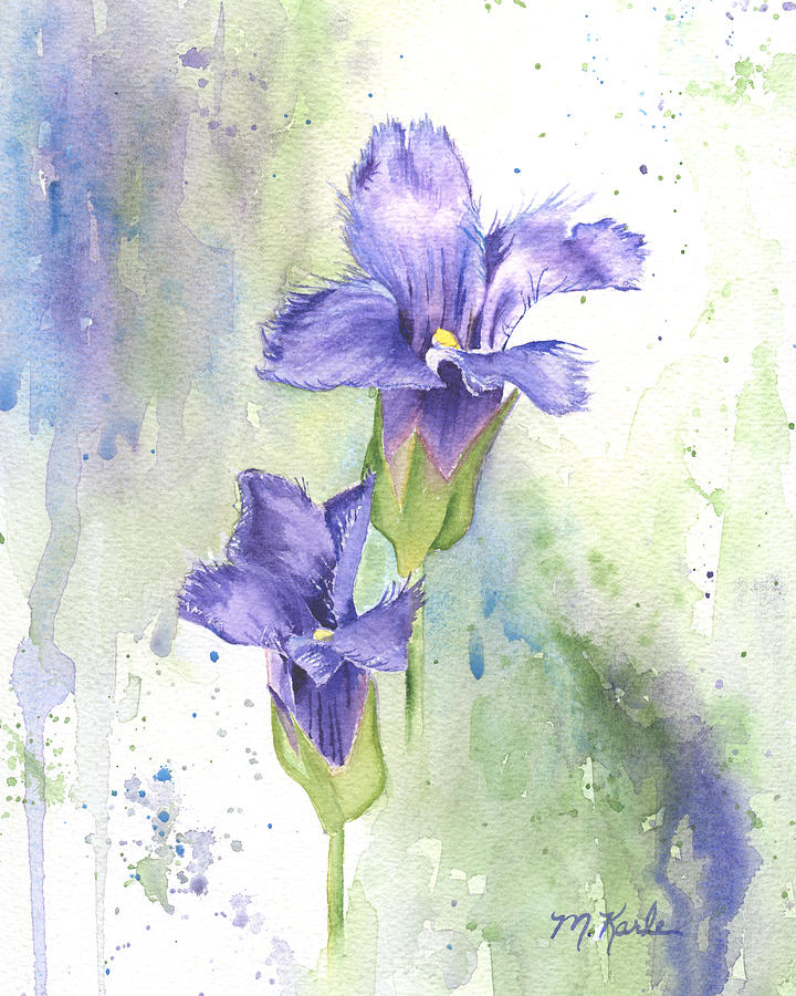Fringed Gentian Painting by Marsha Karle