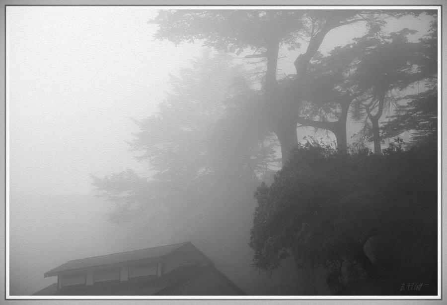 Frisco Fog Photograph by Bonnie Follett