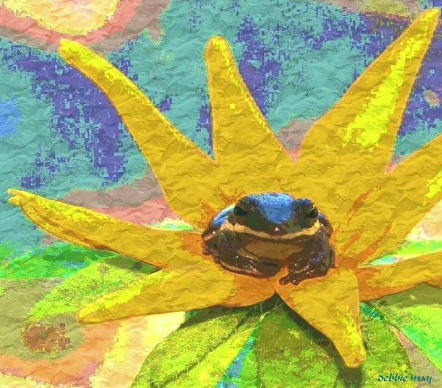 Abstract Photograph - FROG A LILLY 3 - photosbydm by Debbie May