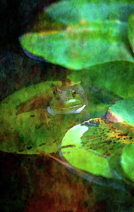 Frog and Lily Pad 3076 IDP_2 Photograph by Steven Ward