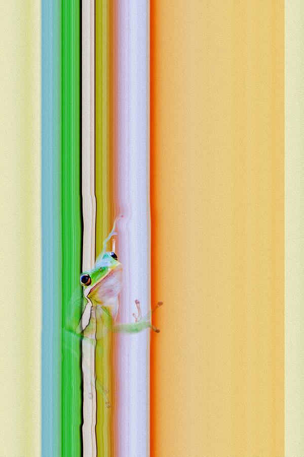 Frog Blender Digital Art