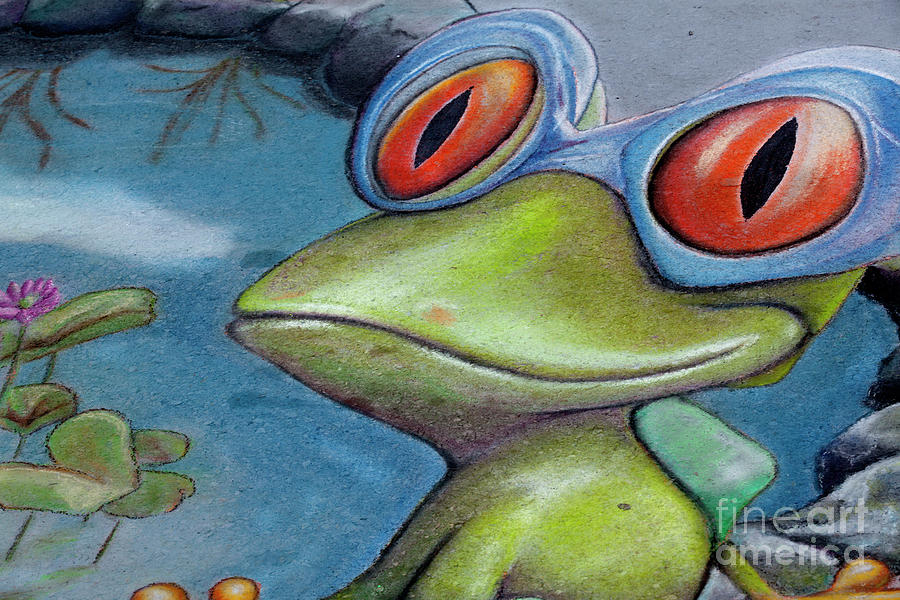 Frog Chalk Drawing Photograph by Anthony Totah