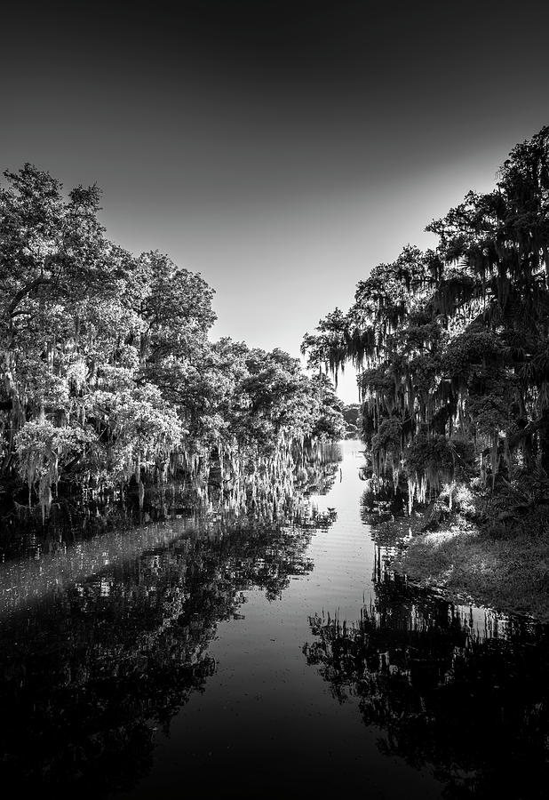 Frog Creek Photograph by Marvin Spates