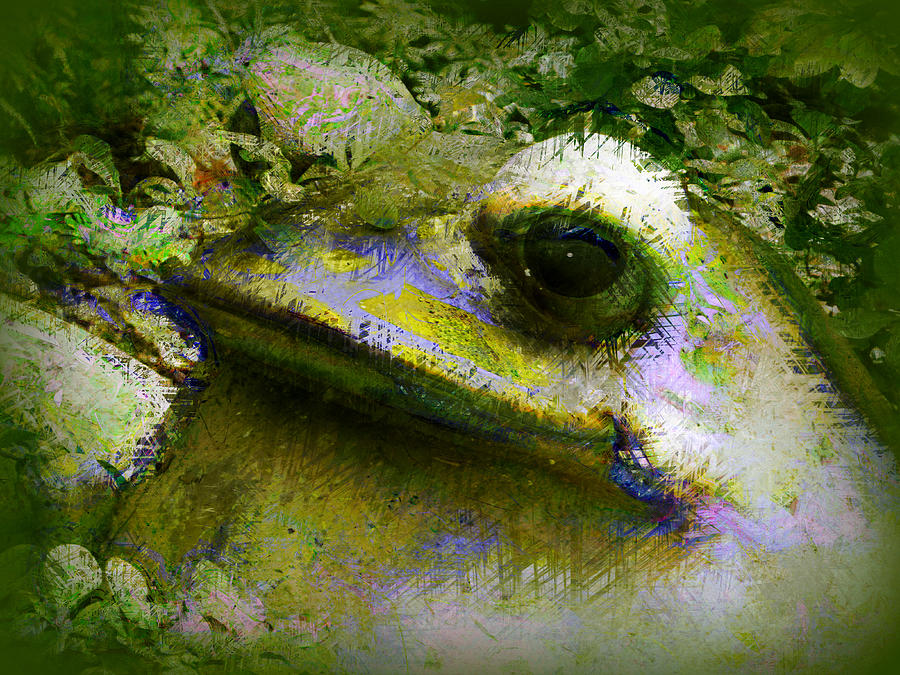 Frog Photograph - Frog in the Pond by Lori Seaman