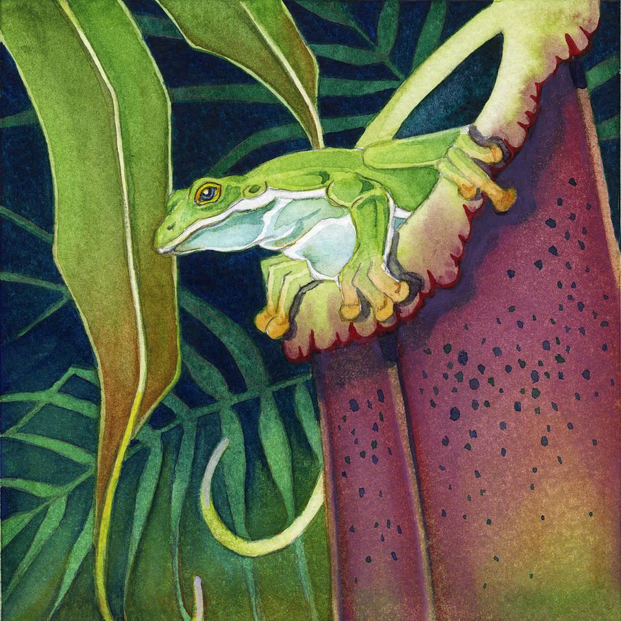Frog in Tropical Pitcher Painting by Lyse Anthony