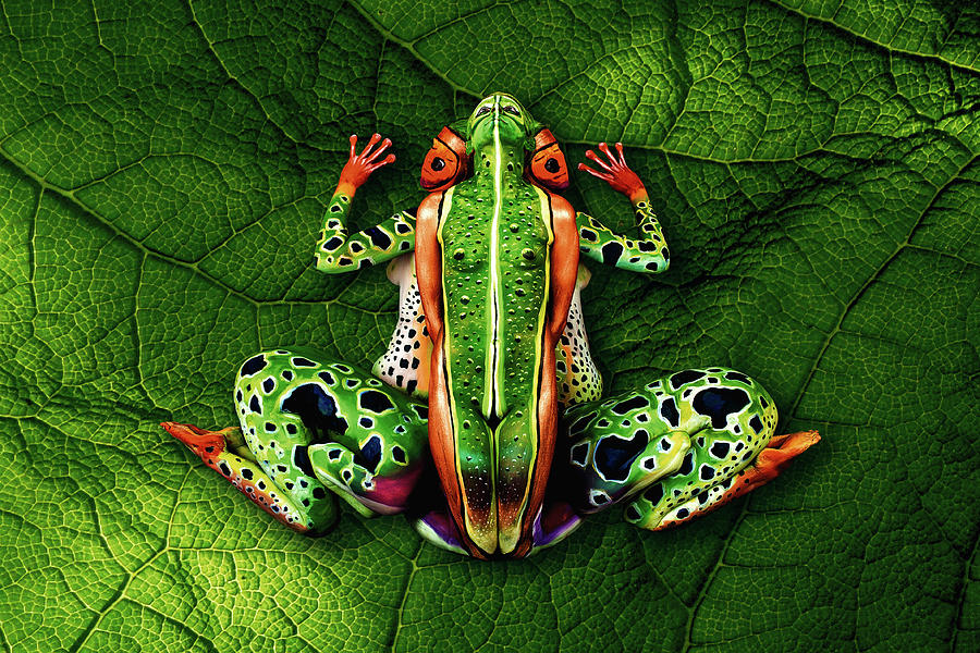 Nature Photograph - Frog Bodypainting Illusion by Johannes Stoetter