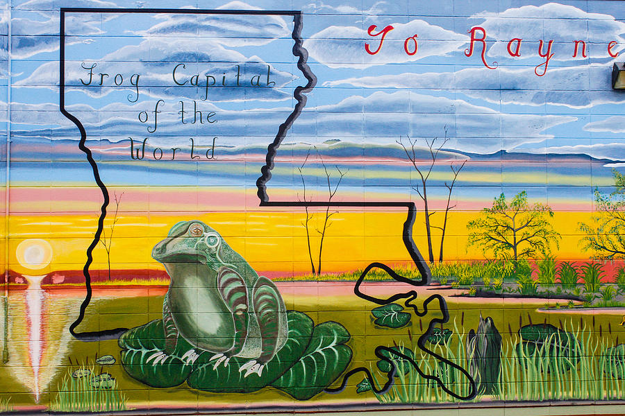 Frog Mural Photograph by Robert Hebert