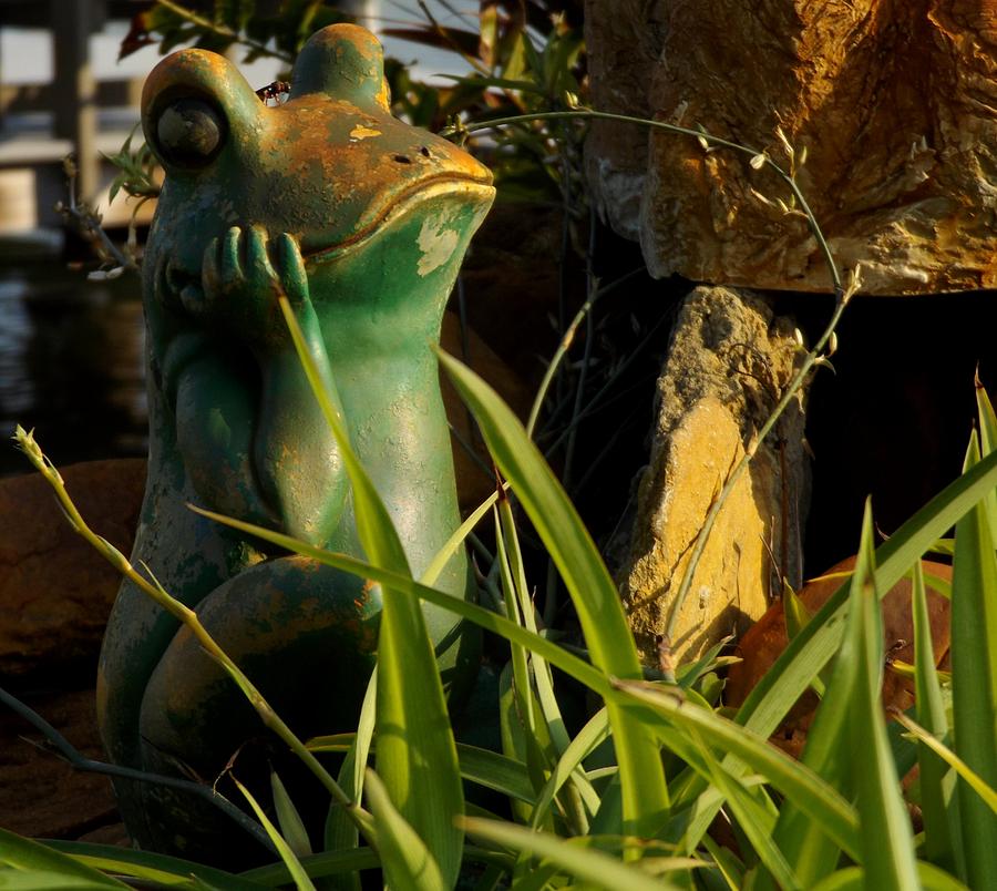 Frog of the Garden Photograph by Julie Pappas