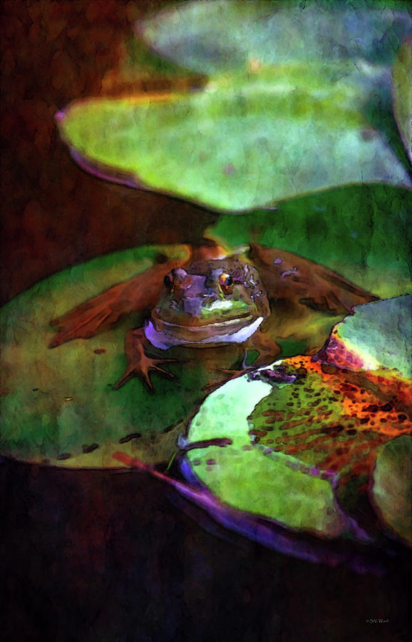 Frog On His Lily Pad 3076 IDP_22 Photograph by Steven Ward