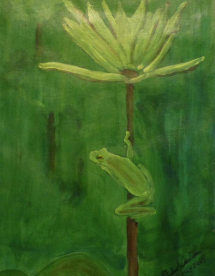 Frog on lily flower Painting by Richard Dalton - Fine Art America