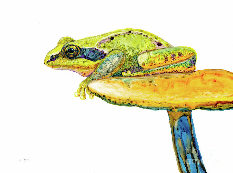 Summer Painting - Frog Sitting on a Toad-Stool by Jan Killian