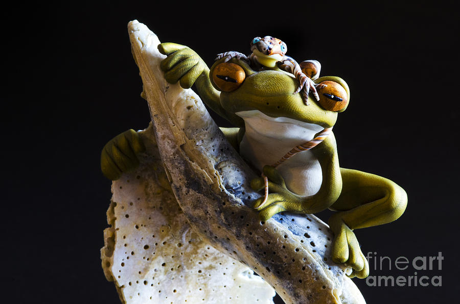 Frog Spirit 2 Photograph by Bob Christopher