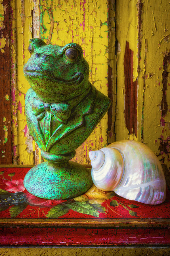 Frog Statue And Seashell Photograph by Garry Gay