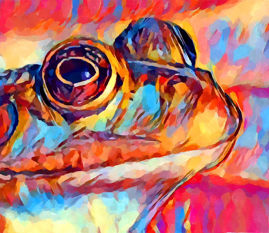 Frog Watercolor Painting by Chris Butler
