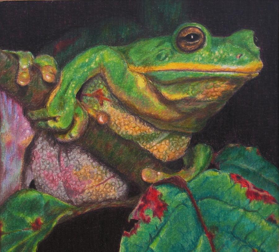 Froggie Painting by Karen Ilari