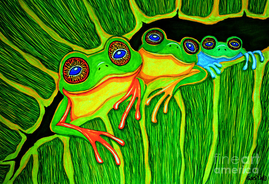 Frog Drawing - Froggie Trio by Nick Gustafson Frog Drawing - Froggie Trio by Nick Gustafson