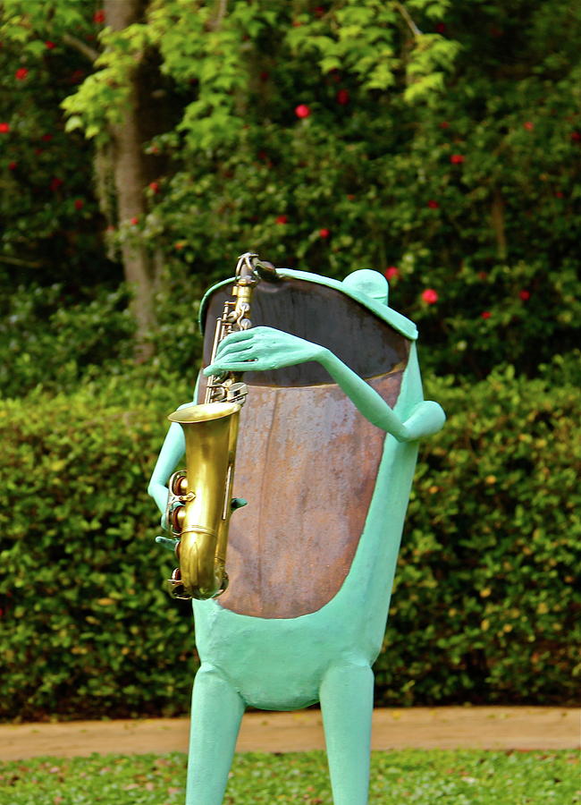 Froggy Sax Photograph by Denise Mazzocco