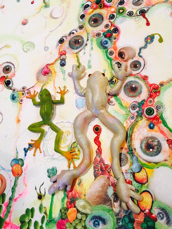 Frogs in the EyeBall Swamp Mixed Media by Douglas Fromm