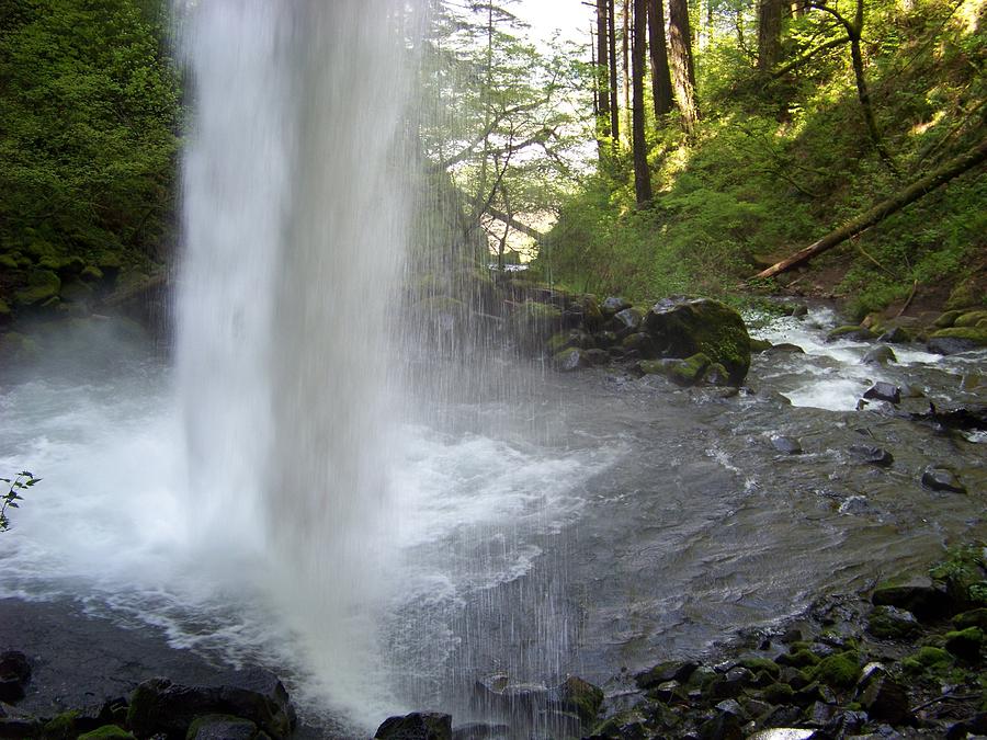 From Behind Ponytail Falls Photograph by Charles Robinson