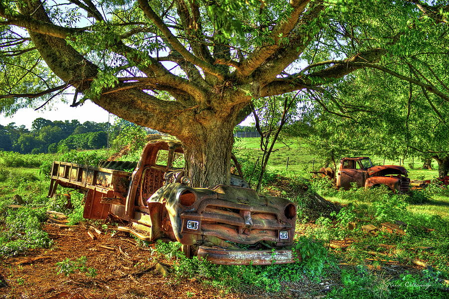From Death To Life 1954 Chevrolet Flatbed Truck Transportation Art Photograph by Reid Callaway