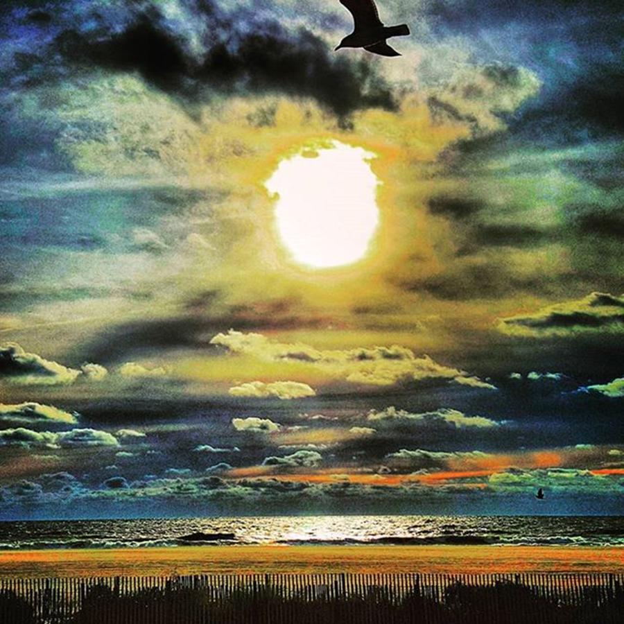 Seagull Photograph - Cloudscape by Lauren Fitzpatrick