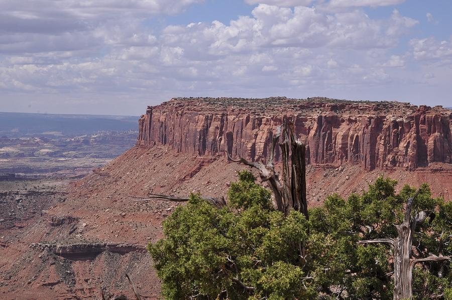 From Grand View Point-Canyonlands National Park Photograph by Frank Madia