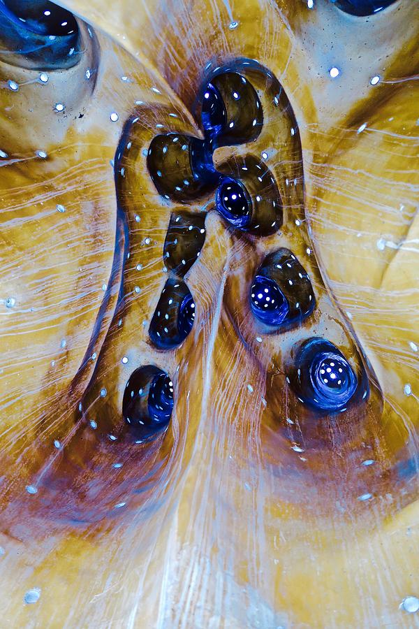 From Inside by Mike Reilly From Inside by Mike Reilly