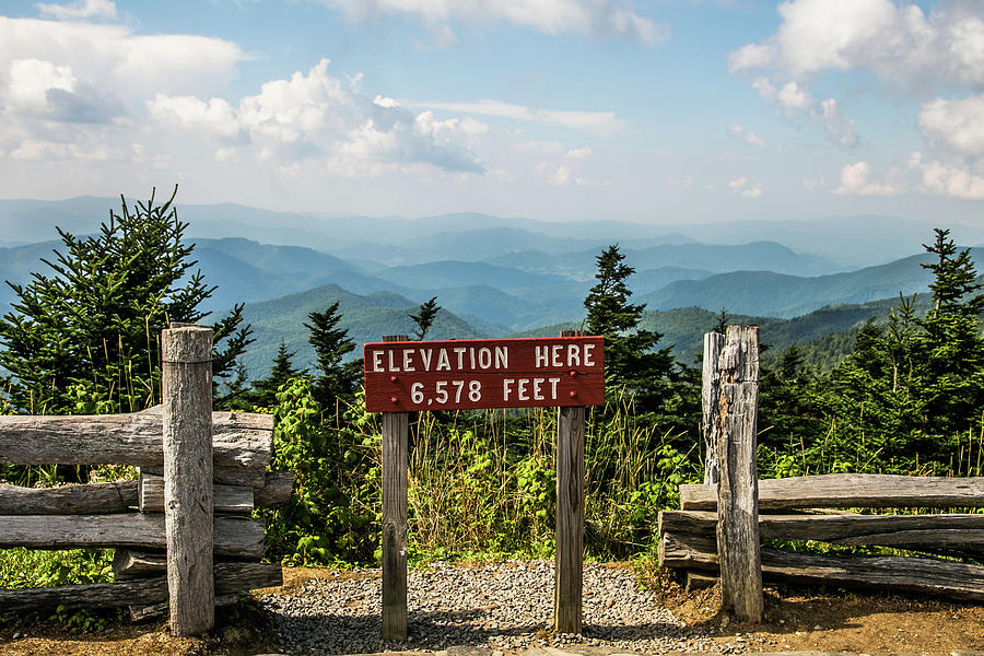 From Mount Mitchell Photograph by Lisa Lemmons-Powers