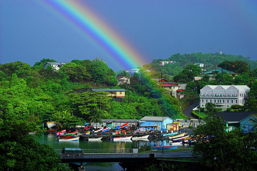 From my Balcony- St Lucia  Photograph by Chester Williams
